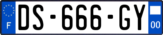 DS-666-GY