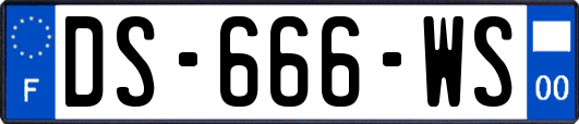 DS-666-WS