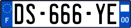 DS-666-YE