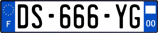 DS-666-YG