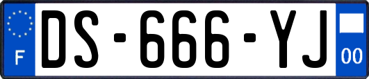 DS-666-YJ