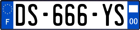 DS-666-YS