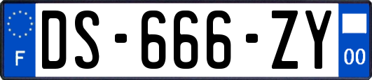 DS-666-ZY