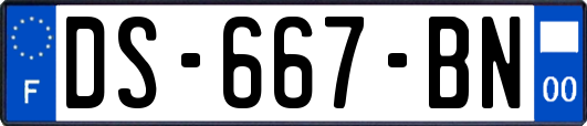 DS-667-BN