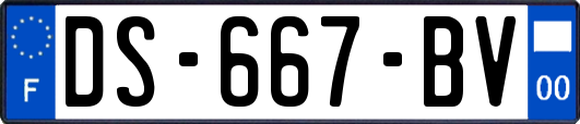 DS-667-BV