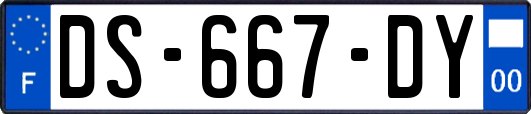 DS-667-DY