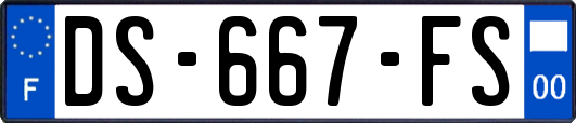 DS-667-FS