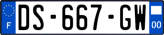 DS-667-GW