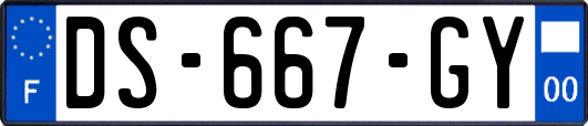 DS-667-GY