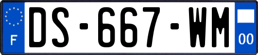 DS-667-WM
