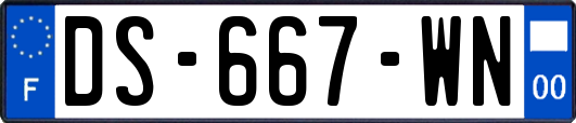 DS-667-WN