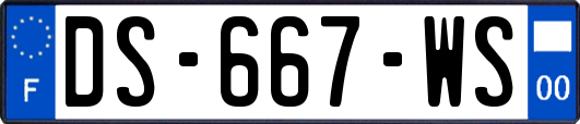 DS-667-WS