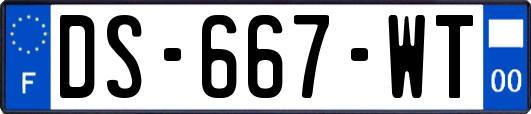 DS-667-WT