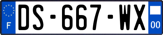 DS-667-WX