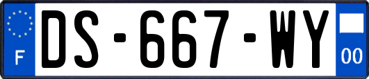 DS-667-WY