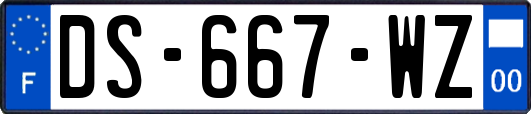DS-667-WZ