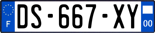 DS-667-XY