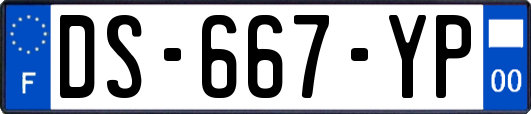 DS-667-YP