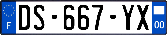 DS-667-YX