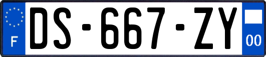 DS-667-ZY