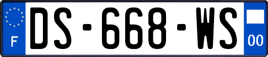 DS-668-WS