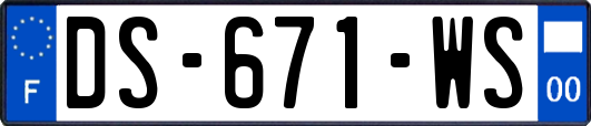 DS-671-WS