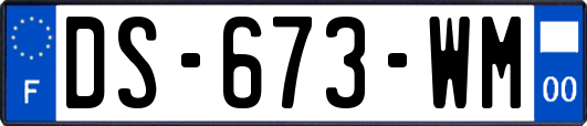 DS-673-WM