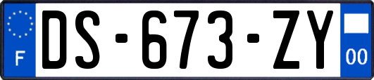 DS-673-ZY