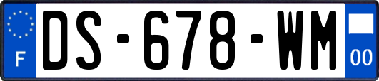 DS-678-WM