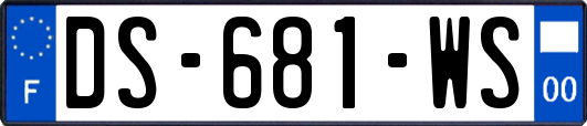 DS-681-WS