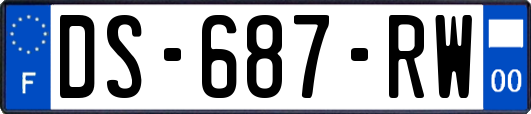 DS-687-RW