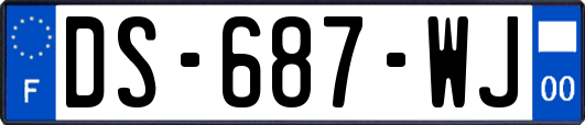 DS-687-WJ