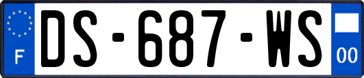 DS-687-WS