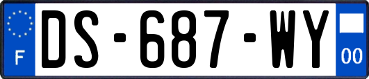 DS-687-WY