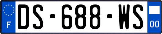 DS-688-WS
