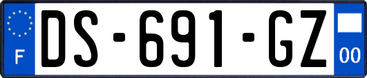DS-691-GZ