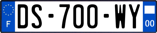 DS-700-WY