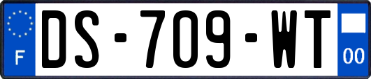 DS-709-WT