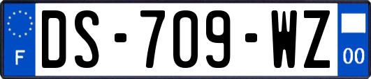 DS-709-WZ