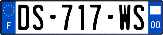 DS-717-WS