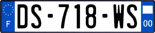 DS-718-WS