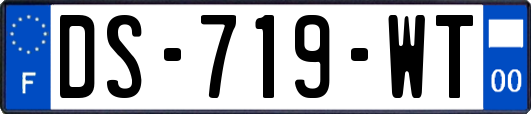 DS-719-WT