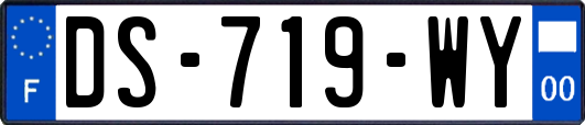 DS-719-WY