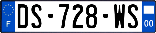 DS-728-WS