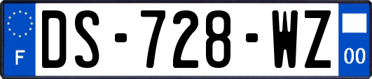 DS-728-WZ