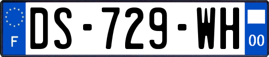 DS-729-WH