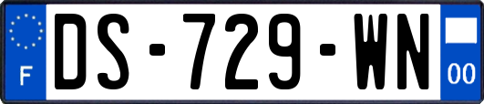 DS-729-WN