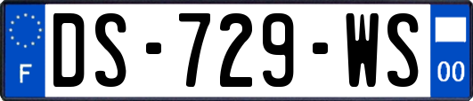 DS-729-WS