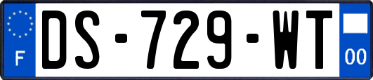 DS-729-WT