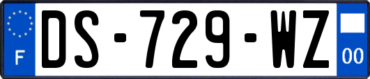 DS-729-WZ